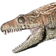 Armadillosuchus, an extinct omnivorous crocodyliform.